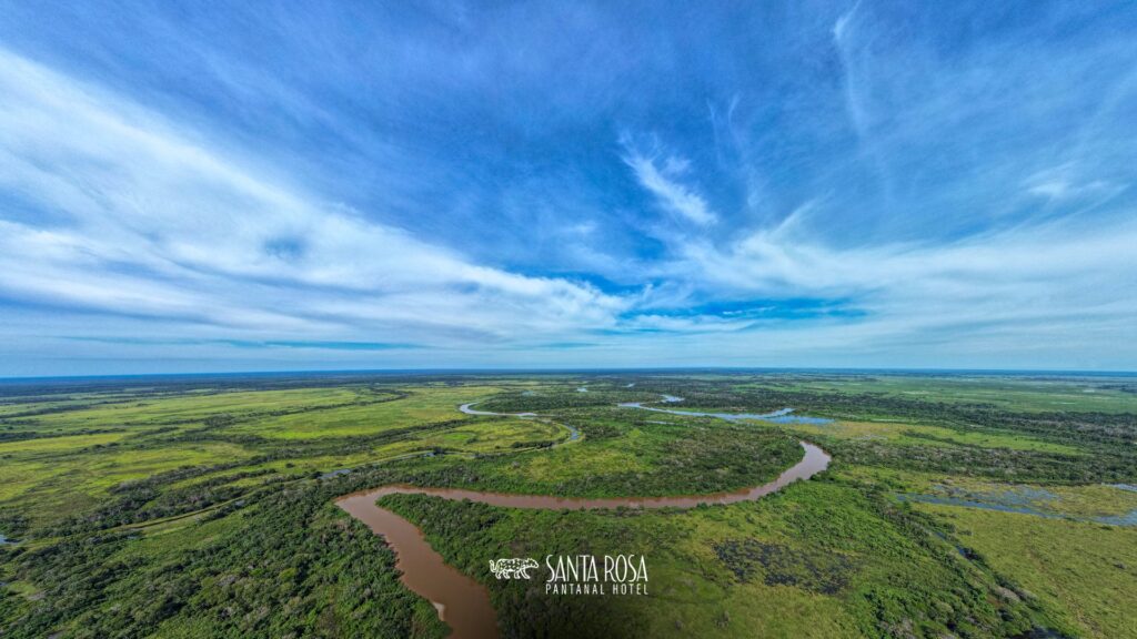 Pantanal mato-grossense