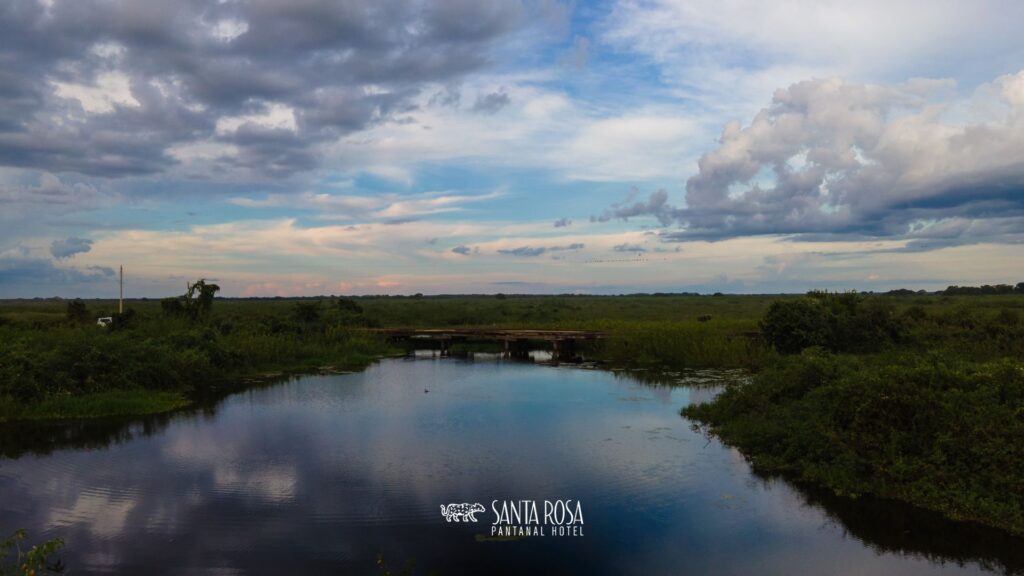 Pantanal mato-grossense