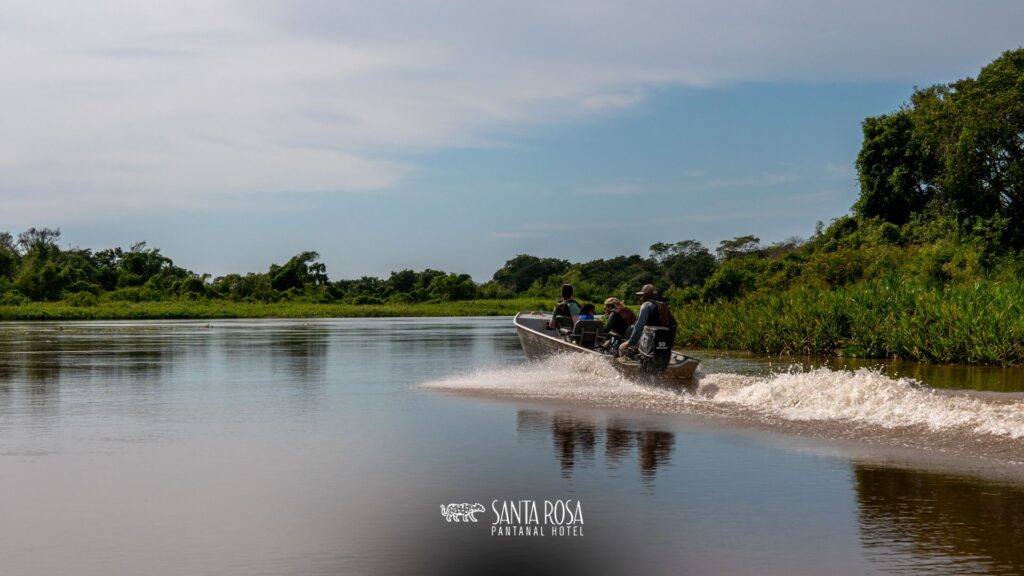 Aventuras no Pantanal